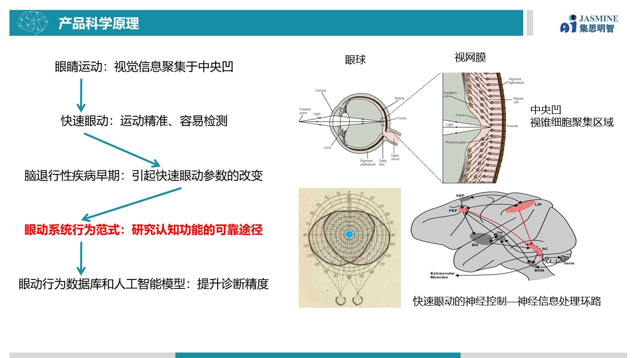 眼动百科-1.jpg