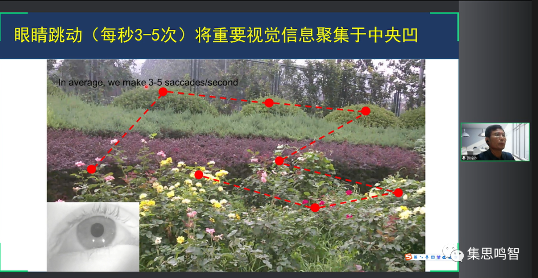 【直播回顾】张鸣沙：通过眼睛窥视大脑--眼动和脑疾病
