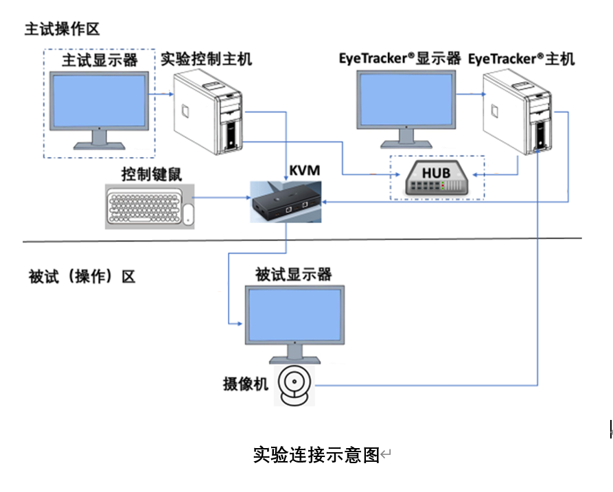 眼动仪神经科学应用落地临港实验室